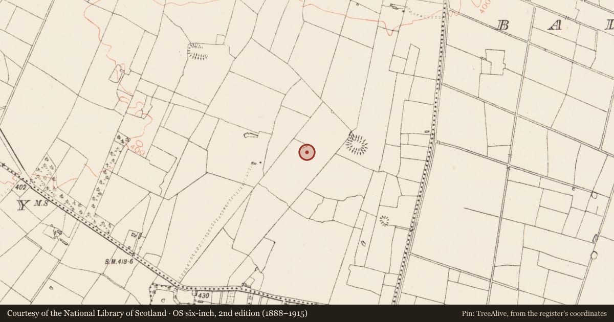 Ordnance Survey six-inch map, 2nd edition (1888–1915) covering the location of Moated site, Carrowreagh, County Roscommon, with a pin at the register's coordinates
