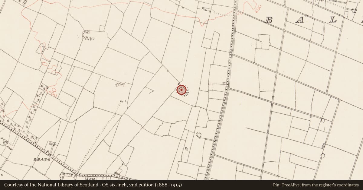 Ordnance Survey six-inch map, 2nd edition (1888–1915) covering the location of Moated site, Carrowreagh, County Roscommon, with a pin at the register's coordinates