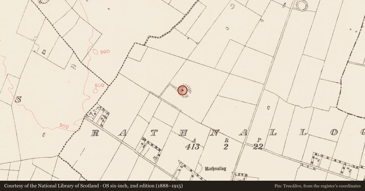 Ordnance Survey six-inch map, 2nd edition (1888–1915) covering the location of Ringfort - rath, Rathnallog, County Roscommon, with a pin at the register's coordinates