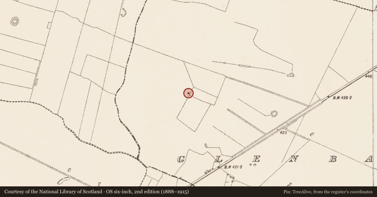 Ordnance Survey six-inch map, 2nd edition (1888–1915) covering the location of Pitfield, Glenballythomas, County Roscommon, with a pin at the register's coordinates