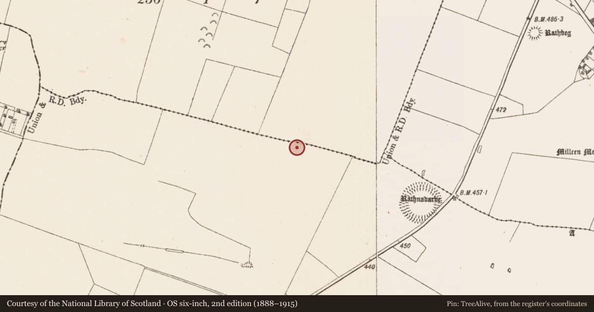 Ordnance Survey six-inch map, 2nd edition (1888–1915) covering the location of Ceremonial enclosure, Glenballythomas, Moneylea, County Roscommon, with a pin at the register's coordinates
