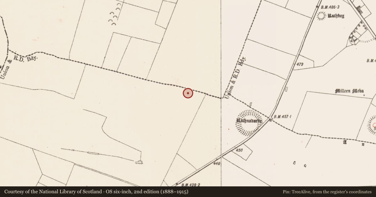 Ordnance Survey six-inch map, 2nd edition (1888–1915) covering the location of Barrow - ring-barrow, Glenballythomas, County Roscommon, with a pin at the register's coordinates