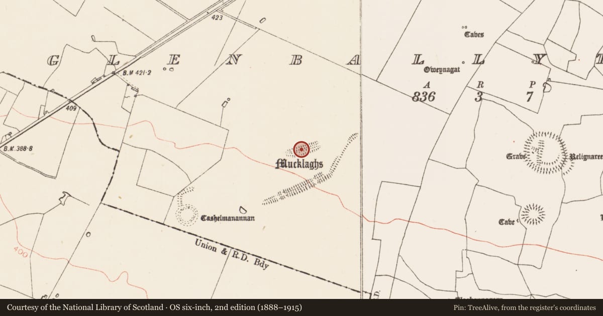 Ordnance Survey six-inch map, 2nd edition (1888–1915) covering the location of Linear earthwork, Glenballythomas, County Roscommon, with a pin at the register's coordinates
