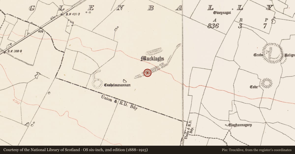 Ordnance Survey six-inch map, 2nd edition (1888–1915) covering the location of Linear earthwork, Glenballythomas, County Roscommon, with a pin at the register's coordinates
