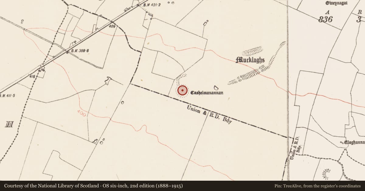 Ordnance Survey six-inch map, 2nd edition (1888–1915) covering the location of Ringfort - cashel, Glenballythomas, County Roscommon, with a pin at the register's coordinates