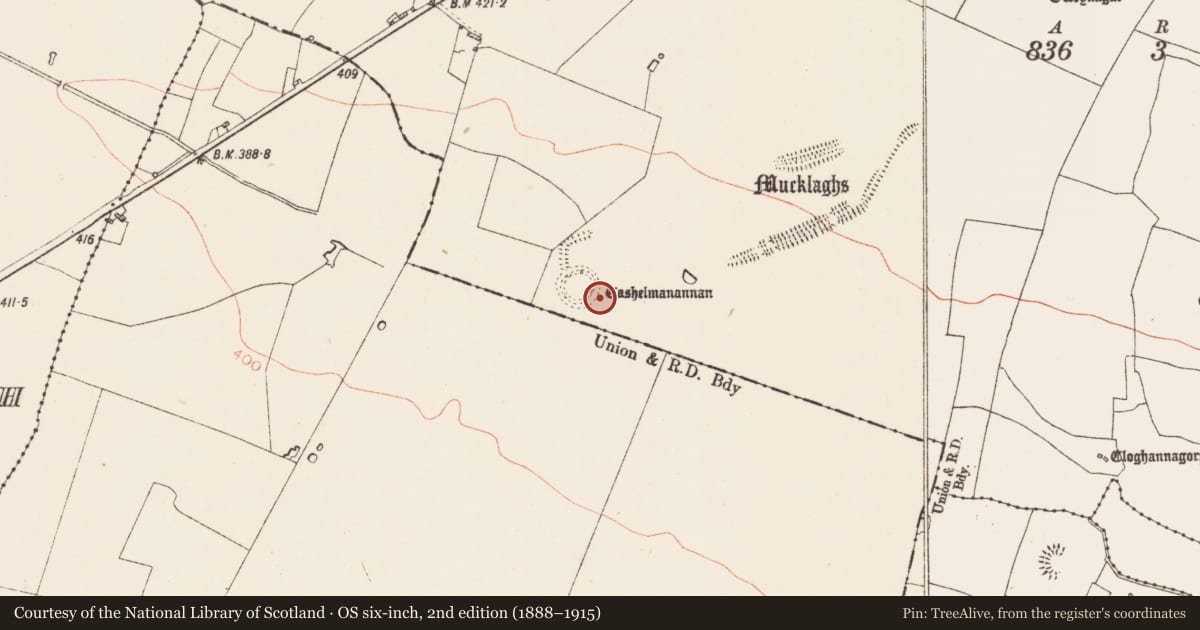 Ordnance Survey six-inch map, 2nd edition (1888–1915) covering the location of Enclosure, Glenballythomas, County Roscommon, with a pin at the register's coordinates