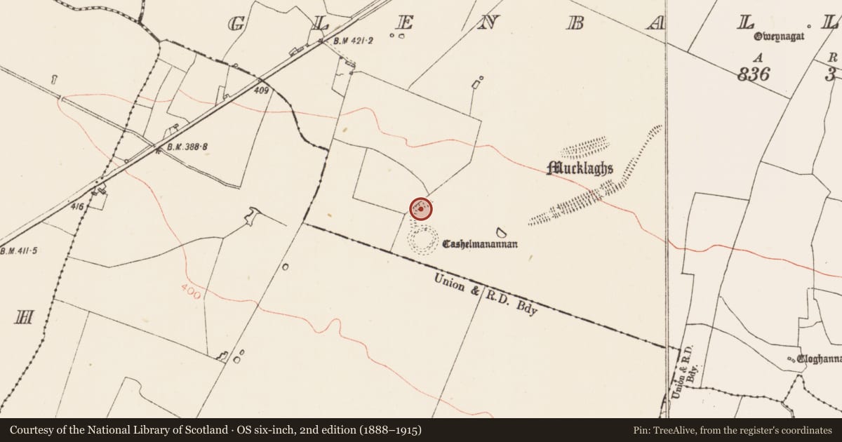 Ordnance Survey six-inch map, 2nd edition (1888–1915) covering the location of Field system, Glenballythomas, County Roscommon, with a pin at the register's coordinates