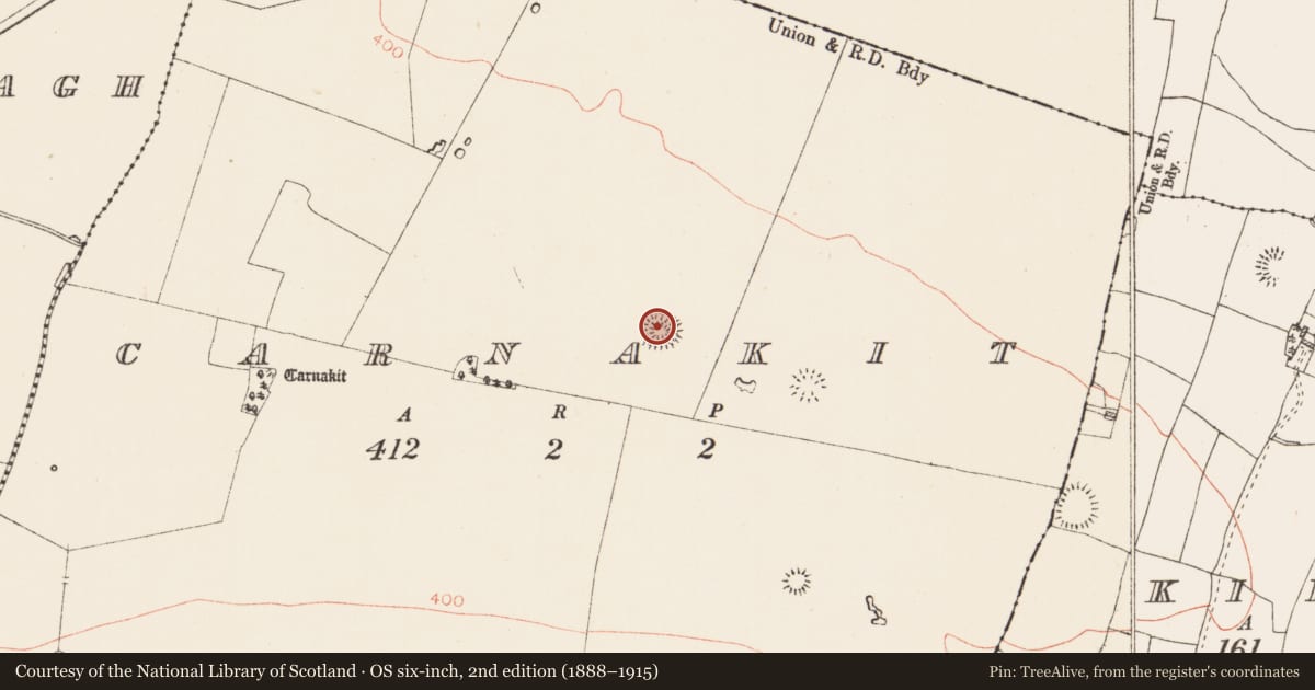 Ordnance Survey six-inch map, 2nd edition (1888–1915) covering the location of Ringfort - rath, Carnakit, County Roscommon, with a pin at the register's coordinates