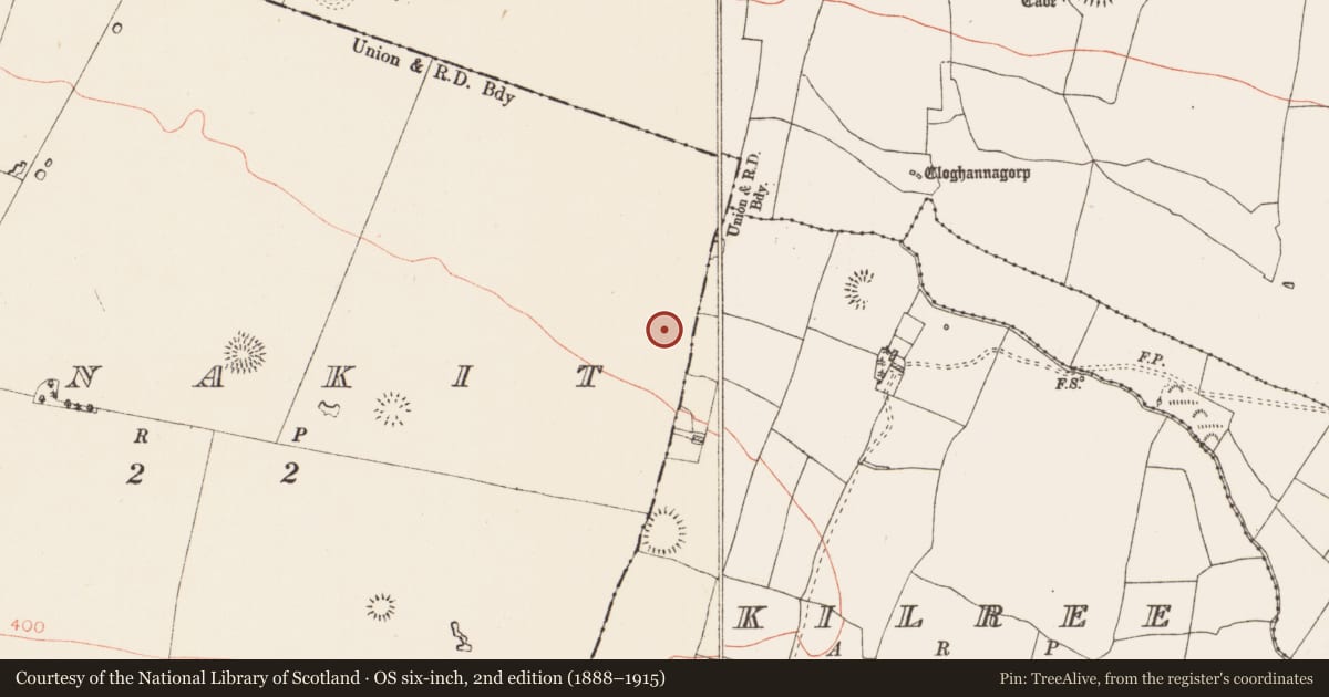 Ordnance Survey six-inch map, 2nd edition (1888–1915) covering the location of Pitfield, Carnakit, County Roscommon, with a pin at the register's coordinates