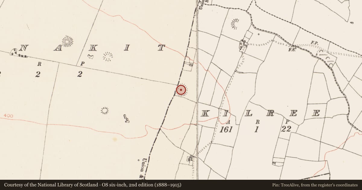 Ordnance Survey six-inch map, 2nd edition (1888–1915) covering the location of Ringfort - rath, Kilree, County Roscommon, with a pin at the register's coordinates