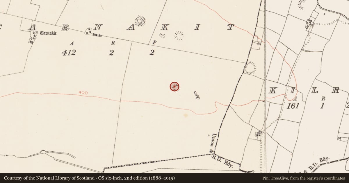 Ordnance Survey six-inch map, 2nd edition (1888–1915) covering the location of Ringfort - rath, Carnakit, County Roscommon, with a pin at the register's coordinates