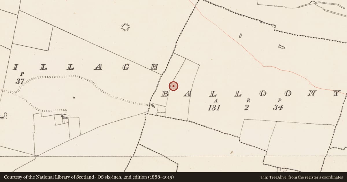 Ordnance Survey six-inch map, 2nd edition (1888–1915) covering the location of Mound, Balloony, County Roscommon, with a pin at the register's coordinates