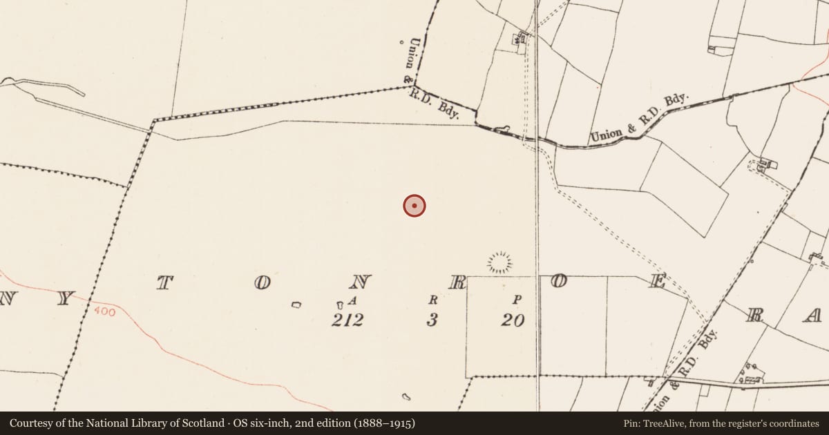 Ordnance Survey six-inch map, 2nd edition (1888–1915) covering the location of Pitfield, Tonroe, County Roscommon, with a pin at the register's coordinates
