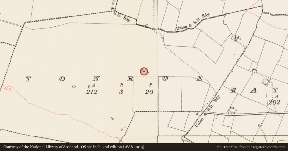 Ordnance Survey six-inch map, 2nd edition (1888–1915) covering the location of Ringfort - rath, Tonroe, County Roscommon, with a pin at the register's coordinates