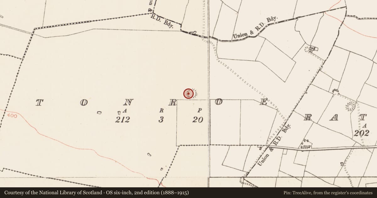 Ordnance Survey six-inch map, 2nd edition (1888–1915) covering the location of Souterrain, Tonroe, County Roscommon, with a pin at the register's coordinates