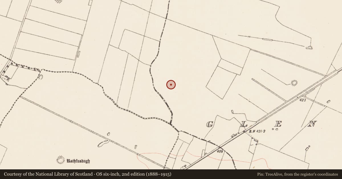 Ordnance Survey six-inch map, 2nd edition (1888–1915) covering the location of Barrow - ditch barrow, Glenballythomas, County Roscommon, with a pin at the register's coordinates