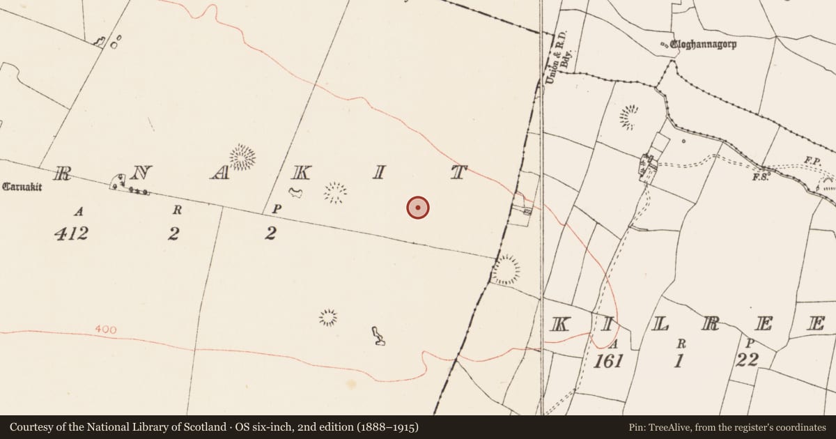 Ordnance Survey six-inch map, 2nd edition (1888–1915) covering the location of Ringfort - rath, Carnakit, County Roscommon, with a pin at the register's coordinates