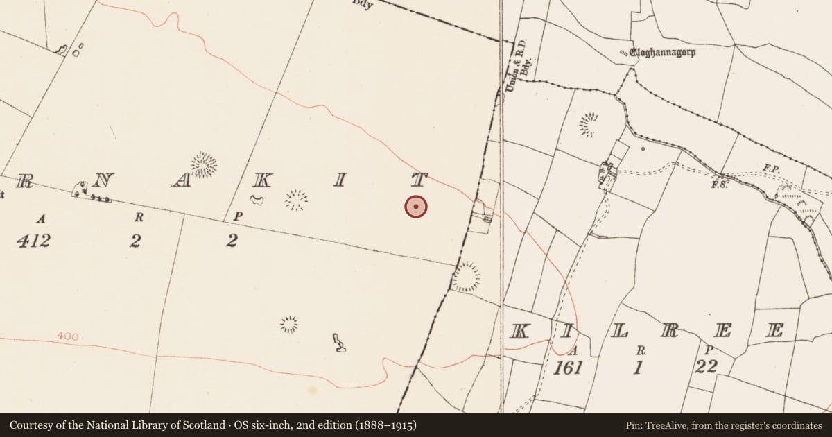 Ordnance Survey six-inch map, 2nd edition (1888–1915) covering the location of Field system, Carnakit, County Roscommon, with a pin at the register's coordinates