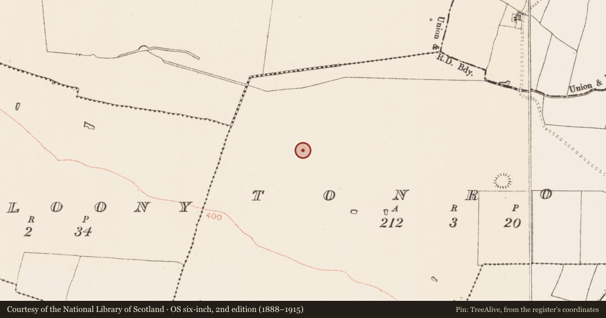 Ordnance Survey six-inch map, 2nd edition (1888–1915) covering the location of Mound, Tonroe, County Roscommon, with a pin at the register's coordinates