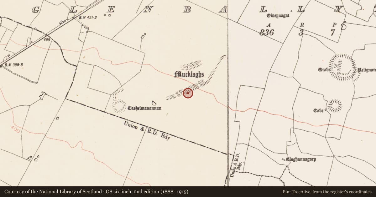 Ordnance Survey six-inch map, 2nd edition (1888–1915) covering the location of House - Neolithic, Glenballythomas, County Roscommon, with a pin at the register's coordinates