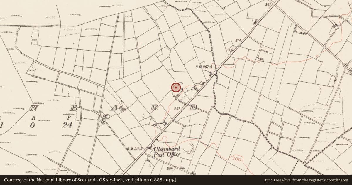 Ordnance Survey six-inch map, 2nd edition (1888–1915) covering the location of Children's burial ground, Cloonbard, County Roscommon, with a pin at the register's coordinates