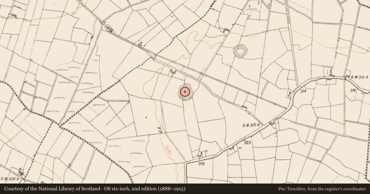Ordnance Survey six-inch map, 2nd edition (1888–1915) covering the location of Ringfort - rath, Corlis, County Roscommon, with a pin at the register's coordinates