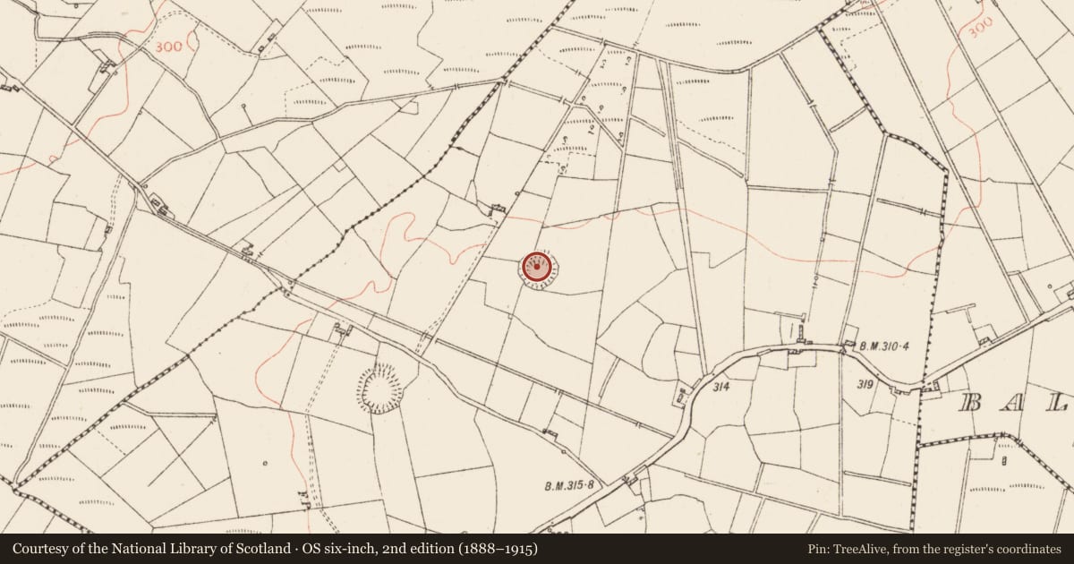 Ordnance Survey six-inch map, 2nd edition (1888–1915) covering the location of Ringfort - rath, Corlis, County Roscommon, with a pin at the register's coordinates