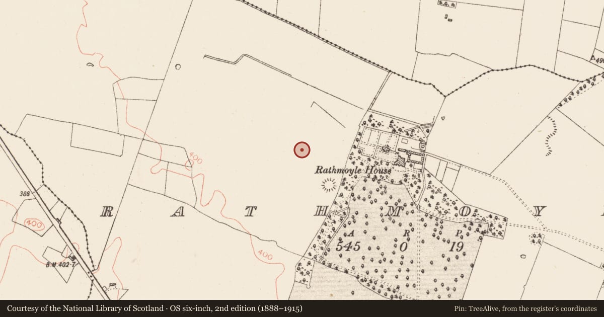 Ordnance Survey six-inch map, 2nd edition (1888–1915) covering the location of Field system, Rathmoyle, County Roscommon, with a pin at the register's coordinates