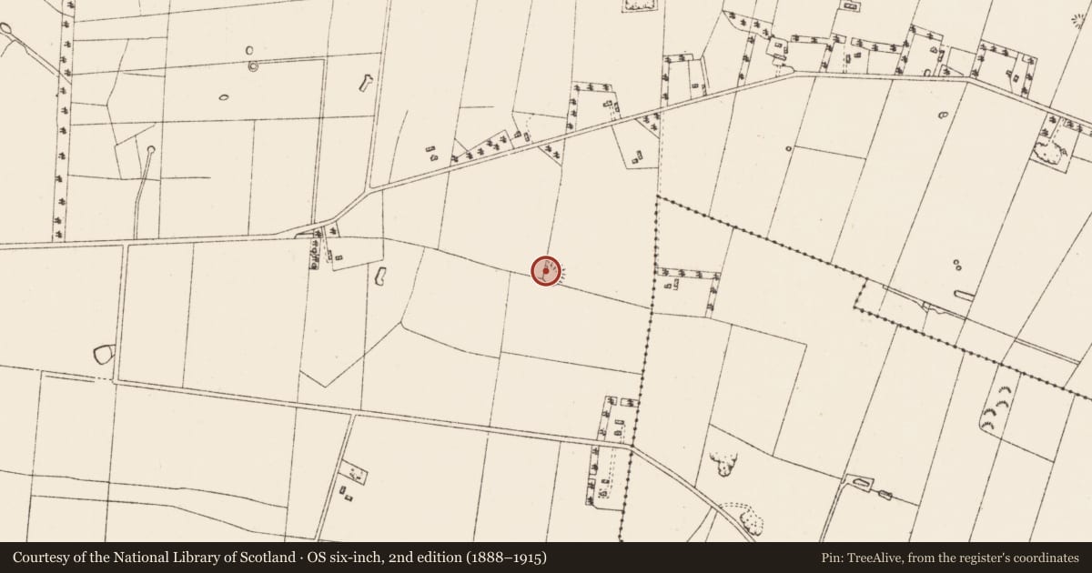 Ordnance Survey six-inch map, 2nd edition (1888–1915) covering the location of Ringfort - rath, Ballyglass, County Roscommon, with a pin at the register's coordinates