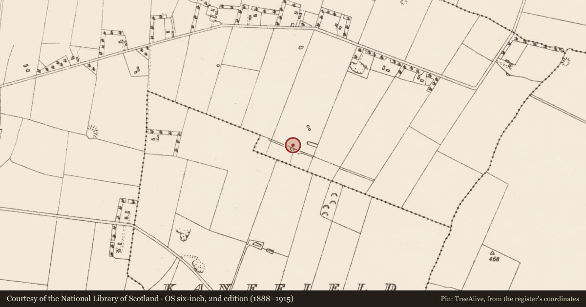 Ordnance Survey six-inch map, 2nd edition (1888–1915) covering the location of Field system, Kanefield, County Roscommon, with a pin at the register's coordinates