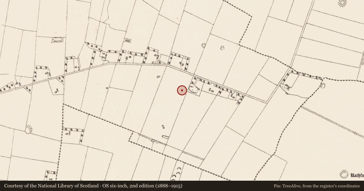 Ordnance Survey six-inch map, 2nd edition (1888–1915) covering the location of Field system, Ballyglass, County Roscommon, with a pin at the register's coordinates