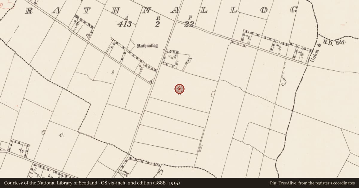 Ordnance Survey six-inch map, 2nd edition (1888–1915) covering the location of Ringfort - rath, Rathnallog, County Roscommon, with a pin at the register's coordinates