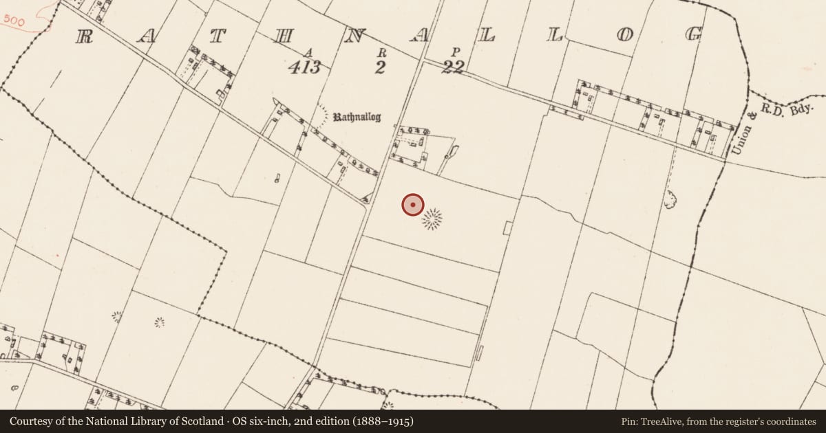 Ordnance Survey six-inch map, 2nd edition (1888–1915) covering the location of Field system, Rathnallog, County Roscommon, with a pin at the register's coordinates
