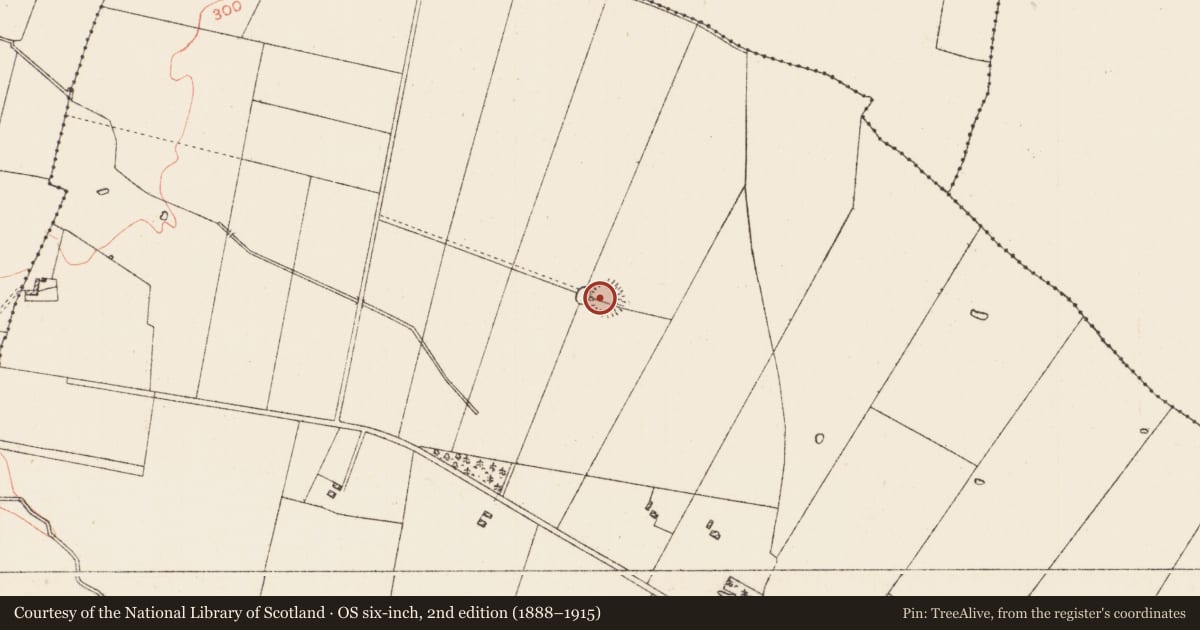 Ordnance Survey six-inch map, 2nd edition (1888–1915) covering the location of Ringfort - rath, Lissalway, County Roscommon, with a pin at the register's coordinates