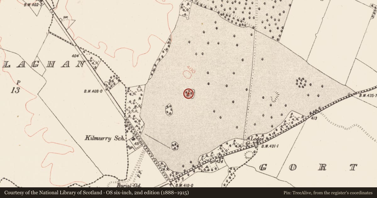 Ordnance Survey six-inch map, 2nd edition (1888–1915) covering the location of Designed landscape - tree-ring, Rathmoyle, County Roscommon, with a pin at the register's coordinates
