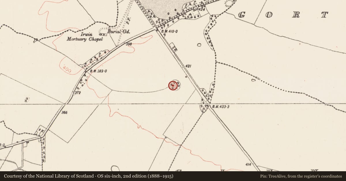 Ordnance Survey six-inch map, 2nd edition (1888–1915) covering the location of Ringfort - rath, Kilmurry, County Roscommon, with a pin at the register's coordinates