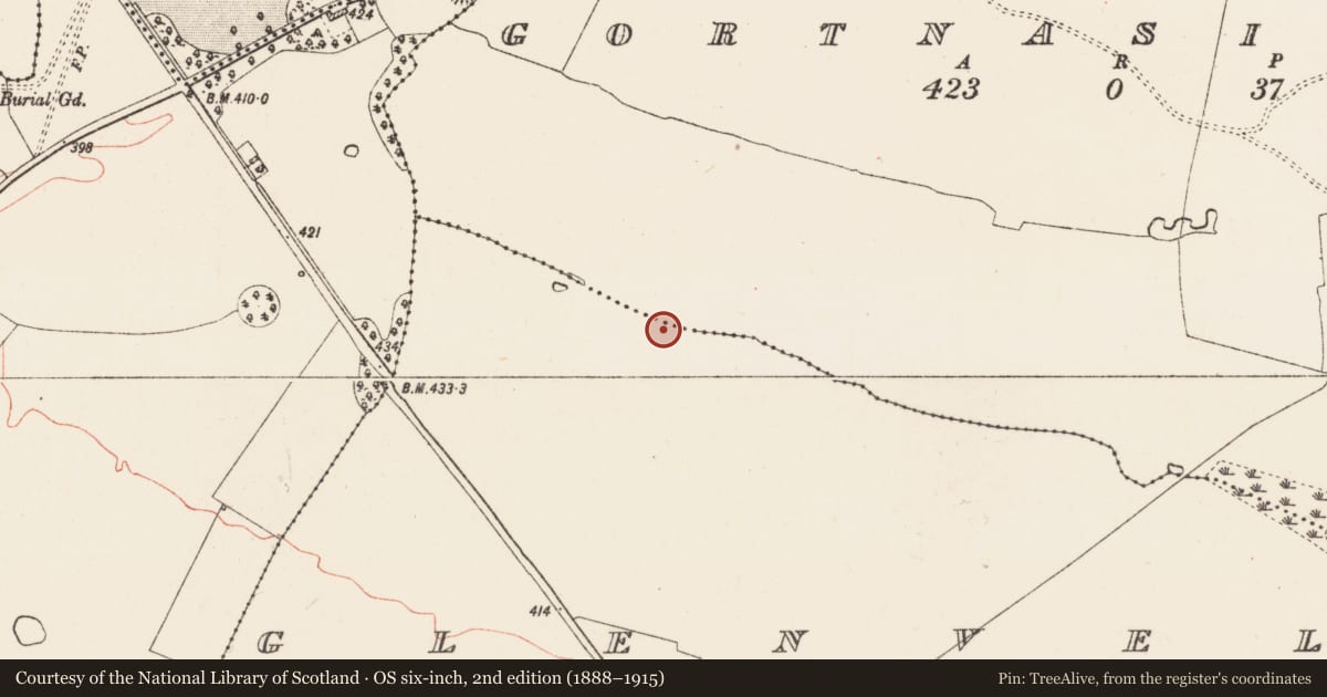 Ordnance Survey six-inch map, 2nd edition (1888–1915) covering the location of Road - road/trackway, Glenvela, Gortnasillagh, County Roscommon, with a pin at the register's coordinates