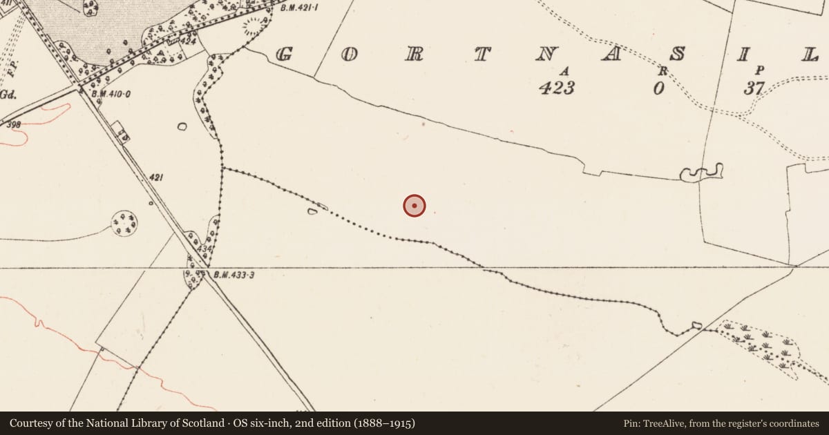 Ordnance Survey six-inch map, 2nd edition (1888–1915) covering the location of Pitfield, Glenvela, Gortnasillagh, County Roscommon, with a pin at the register's coordinates
