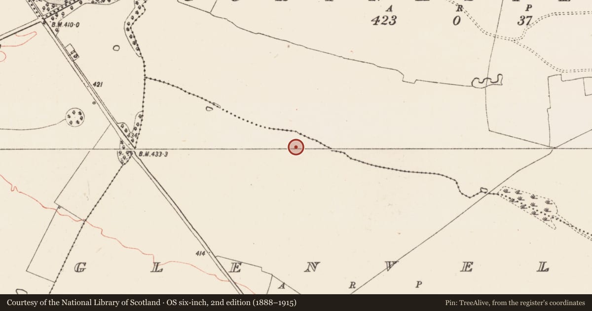 Ordnance Survey six-inch map, 2nd edition (1888–1915) covering the location of Church, Glenvela, County Roscommon, with a pin at the register's coordinates