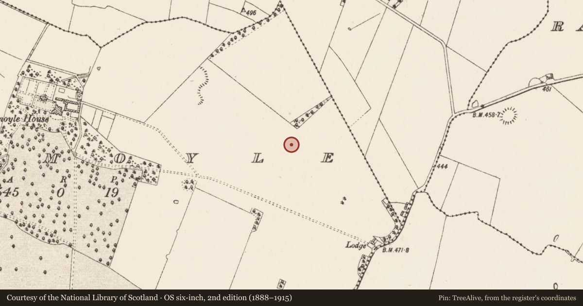 Ordnance Survey six-inch map, 2nd edition (1888–1915) covering the location of Field system, County Roscommon, with a pin at the register's coordinates