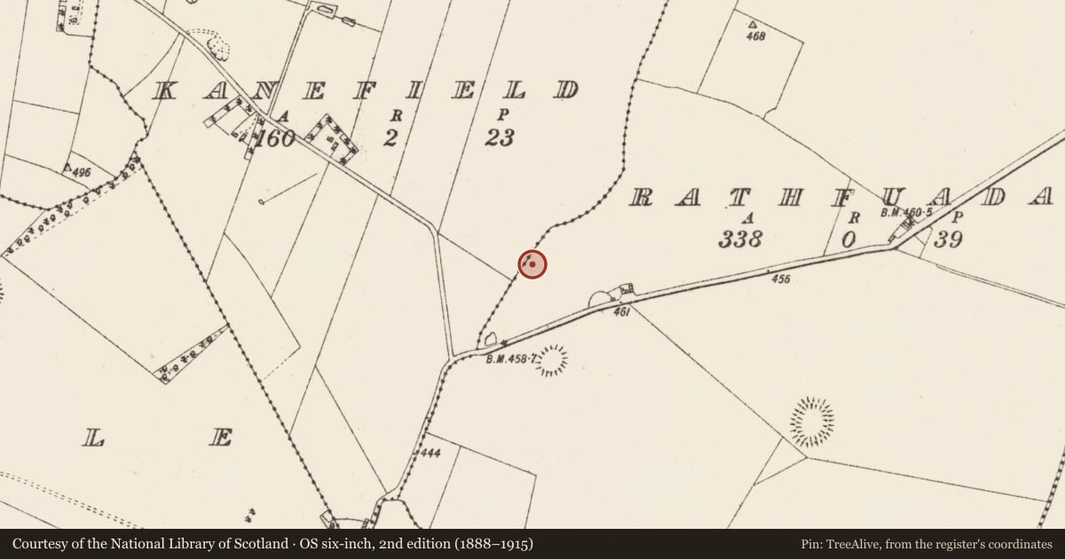 Ordnance Survey six-inch map, 2nd edition (1888–1915) covering the location of Field system, Kanefield, Rathfuadagh, County Roscommon, with a pin at the register's coordinates