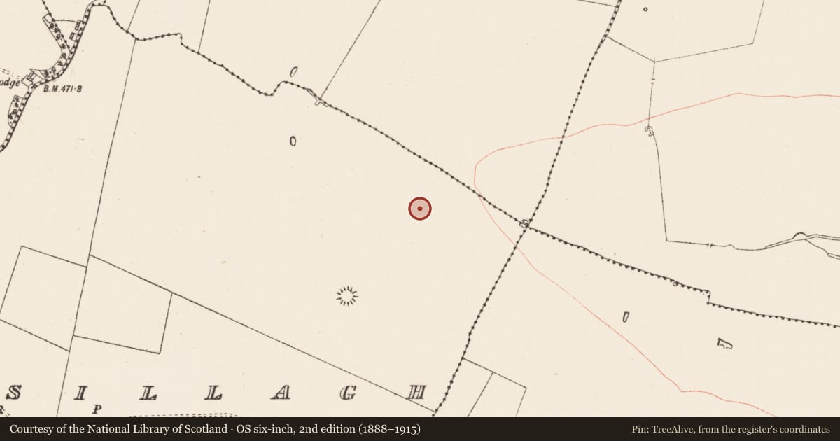 Ordnance Survey six-inch map, 2nd edition (1888–1915) covering the location of Pitfield, Gortnasillagh, County Roscommon, with a pin at the register's coordinates