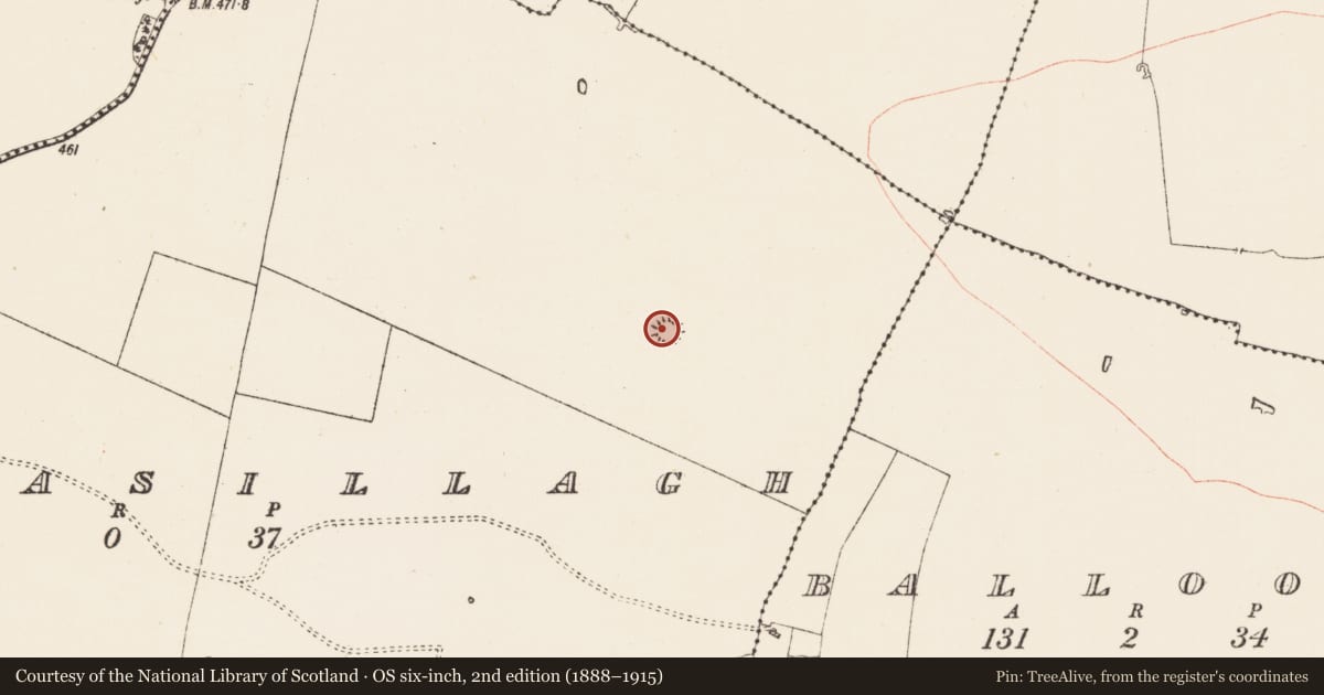 Ordnance Survey six-inch map, 2nd edition (1888–1915) covering the location of Ringfort - rath, Gortnasillagh, County Roscommon, with a pin at the register's coordinates