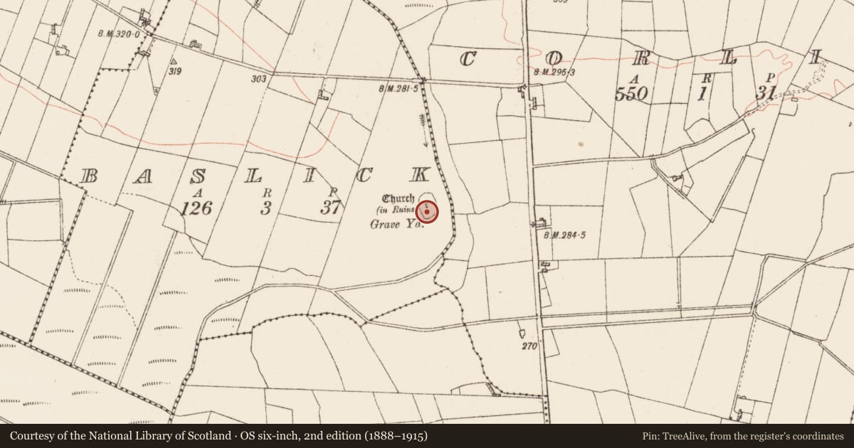 Ordnance Survey six-inch map, 2nd edition (1888–1915) covering the location of Graveyard, Baslick, County Roscommon, with a pin at the register's coordinates