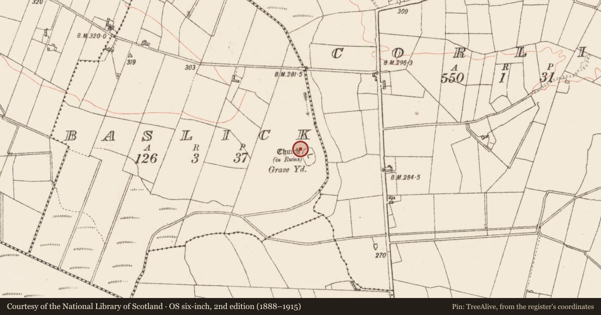Ordnance Survey six-inch map, 2nd edition (1888–1915) covering the location of Enclosure, Baslick, County Roscommon, with a pin at the register's coordinates
