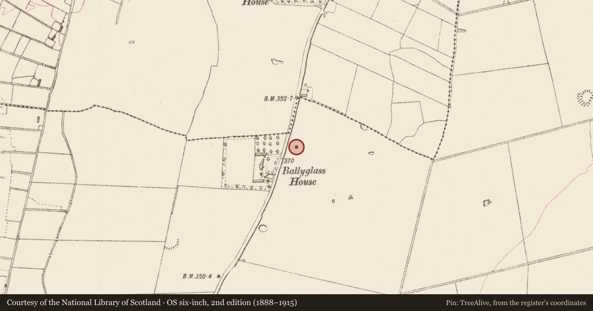 Ordnance Survey six-inch map, 2nd edition (1888–1915) covering the location of Ringfort - rath, Ballyglass, County Roscommon, with a pin at the register's coordinates