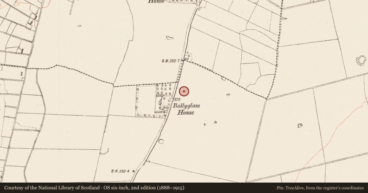 Ordnance Survey six-inch map, 2nd edition (1888–1915) covering the location of Cairn - clearance cairn, Ballyglass, County Roscommon, with a pin at the register's coordinates