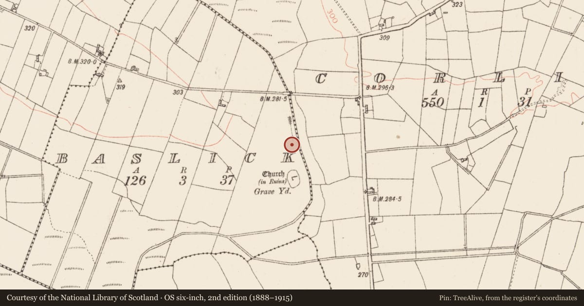 Ordnance Survey six-inch map, 2nd edition (1888–1915) covering the location of Mill - unclassified, Baslick, County Roscommon, with a pin at the register's coordinates
