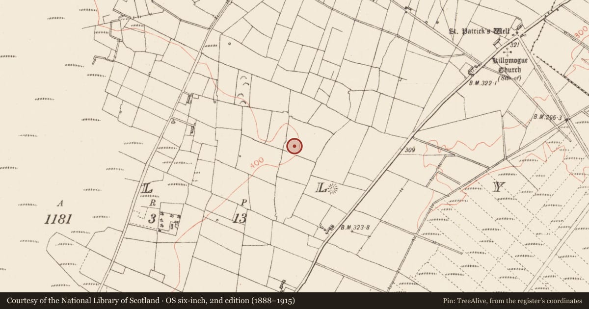 Ordnance Survey six-inch map, 2nd edition (1888–1915) covering the location of House - indeterminate date, Tully, County Roscommon, with a pin at the register's coordinates