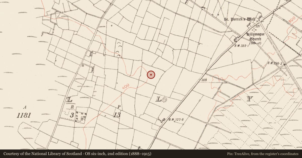 Ordnance Survey six-inch map, 2nd edition (1888–1915) covering the location of Souterrain, Tully, County Roscommon, with a pin at the register's coordinates
